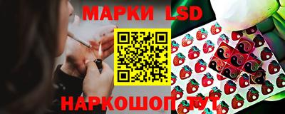 spice Коммунар