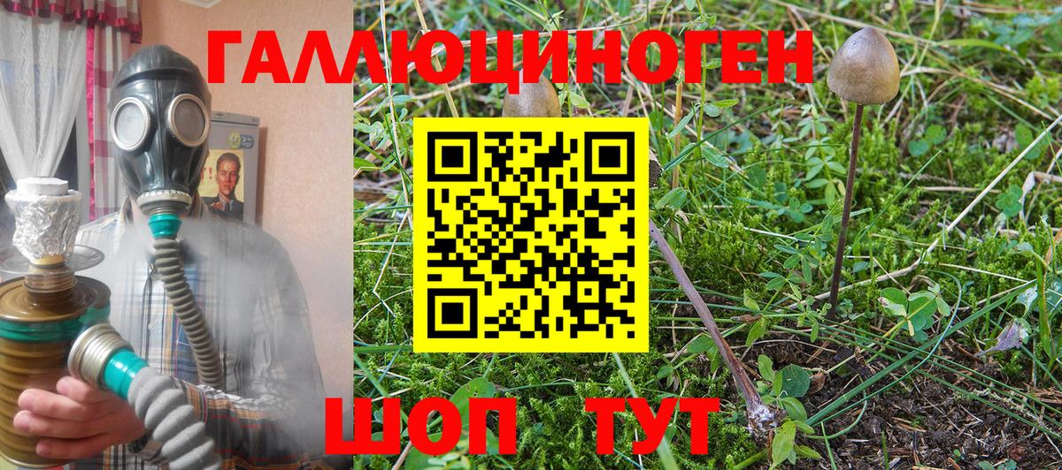 Галлюциногенные грибы GOLDEN TEACHER Воткинск