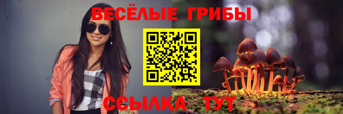 Галлюциногенные грибы GOLDEN TEACHER  Вход с VPN  Псилоцибиновые грибы Psilocybe  Воткинск 